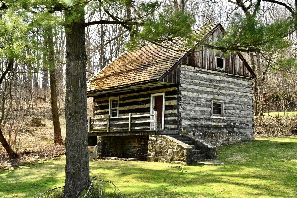 Hidden Cabin in the Deep Forest | Shutterbug